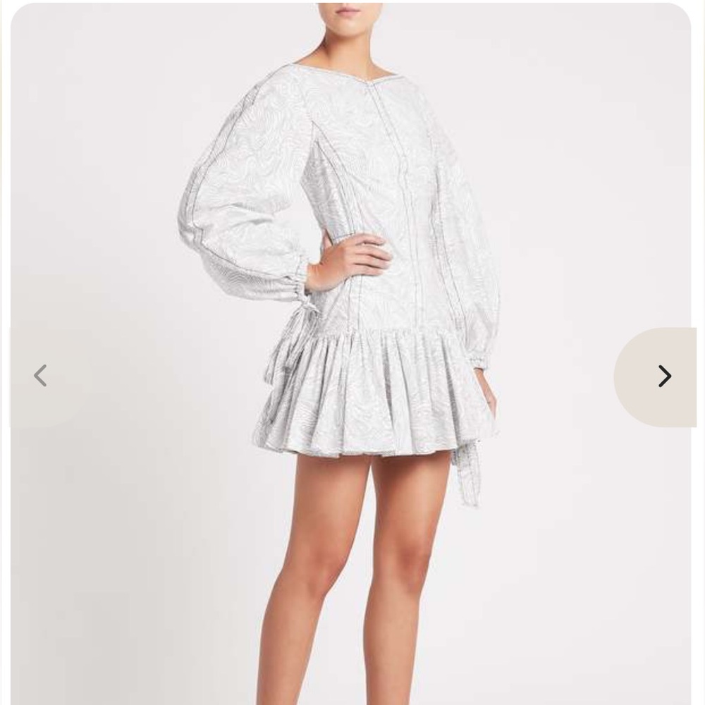 camilla & marc Long Sleeve mini dress drop waist black and white print